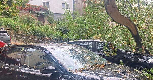 In Ingersheim ist ein Baum auf Autos gekracht. In Ingersheim ist ein Baum auf Autos gekracht.