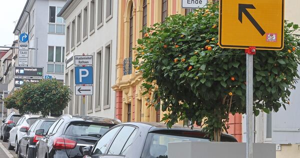 Blumenkübel pflastern ihren Weg: Die leeren Sockel hat die Stadt nun mit Pflanzen bestückt. Blumenkübel pflastern ihren Weg: Die leeren Sockel hat die Stadt nun mit Pflanzen bestückt.