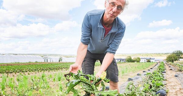 Stefan Eysermans mit den Resten seiner zerstörten Zucchinipflanzen. Stefan Eysermans mit den Resten seiner zerstörten Zucchinipflanzen.