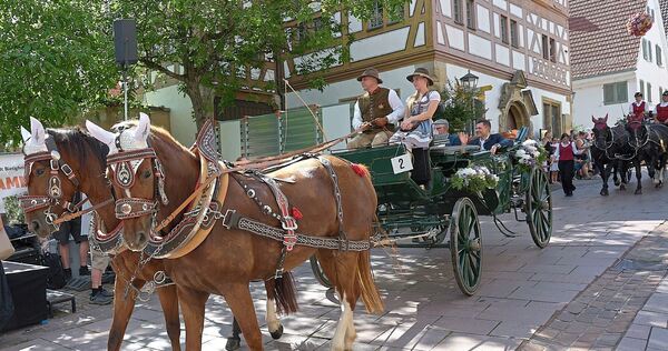 Geschmückte Kutschen ziehen durch die Bietigheimer Altstadt. Geschmückte Kutschen ziehen durch die Bietigheimer Altstadt.