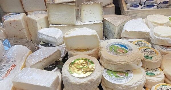 Blick in die Auslage von Käse-Haas. Blick in die Auslage von Käse-Haas.