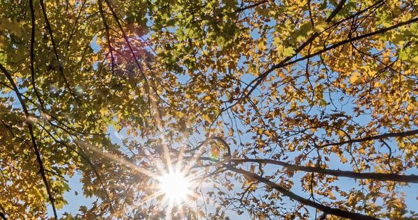 Sommerliche Temperaturen im Herbst. Sommerliche Temperaturen im Herbst.