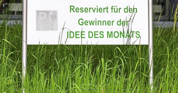 Parkplatz direkt vor dem Firmeneingang - immer reserviert für einen bestimmten Mitarbeiter. Parkplatz direkt vor dem Firmeneingang - immer reserviert für einen bestimmten Mitarbeiter.