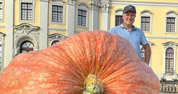 Der Sieger Mathias Würsching mit seinem Kürbis, der fast eine Tonne wiegt. Der Sieger Mathias Würsching mit seinem Kürbis, der fast eine Tonne wiegt.