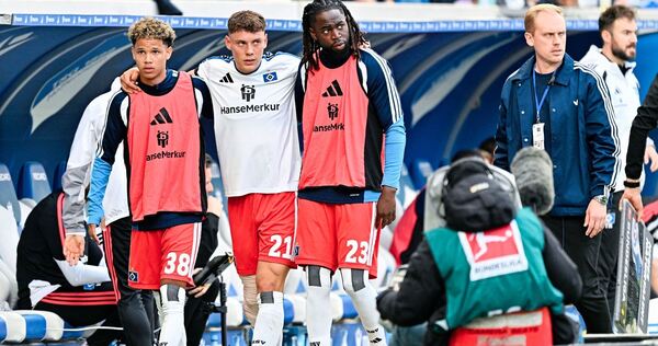 TSG 1899 Hoffenheim - Hamburger SV TSG 1899 Hoffenheim - Hamburger SV