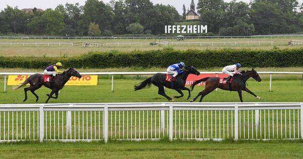 Galopp Galopp