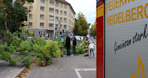 Sturmtief «Luise» - Heidelberg Sturmtief «Luise» - Heidelberg
